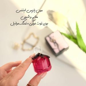 WhatsApp Image 2025-12-14 at 12.15.16 (1)